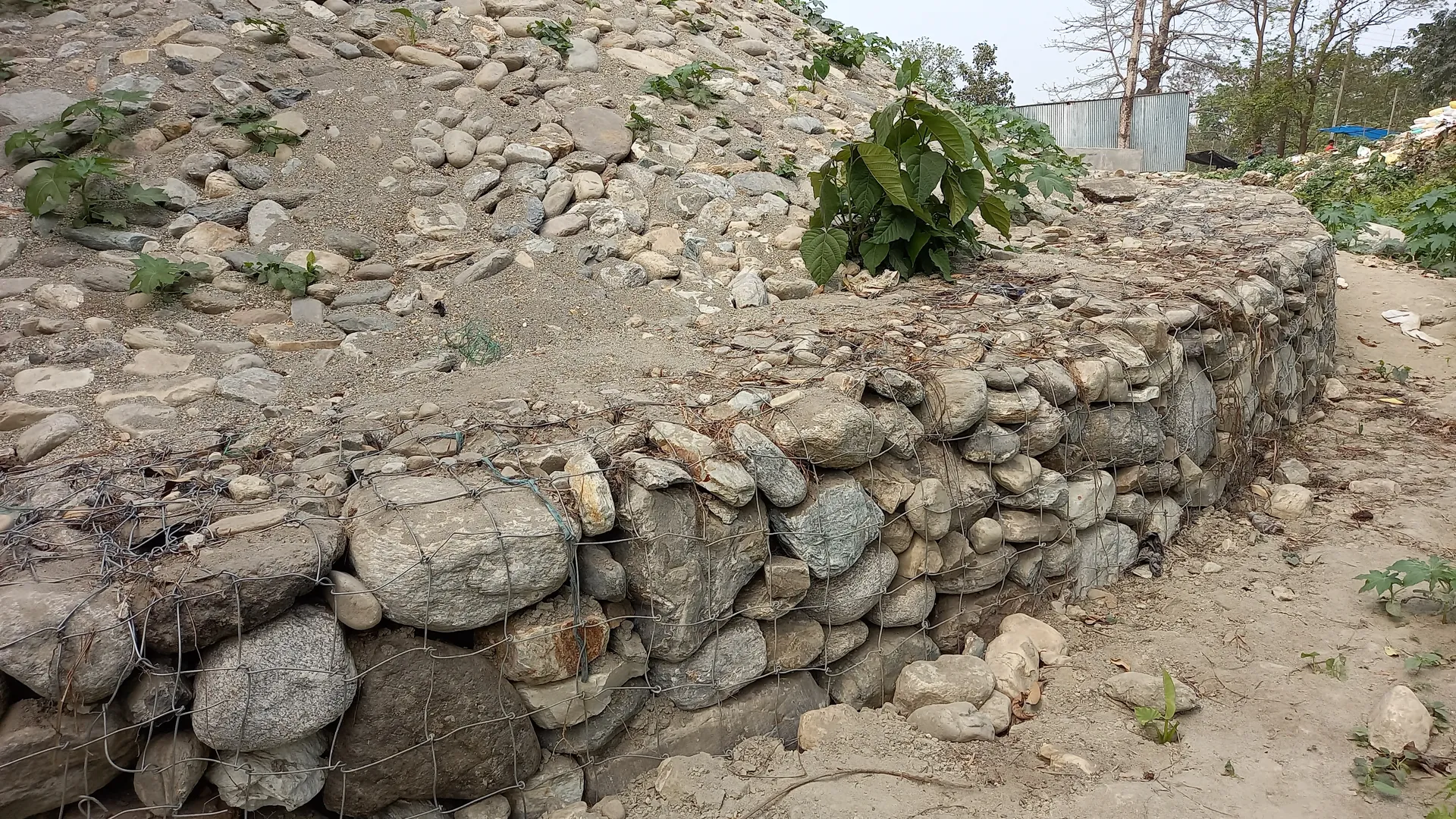 Bridge Rehabilitation – Cooch Behar, West Bengal – site photograph